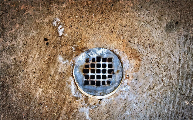 https://blockeddrainsvictoriapark.com.au/uploads/2025/07/blocked-shower-drains-20432.jpg