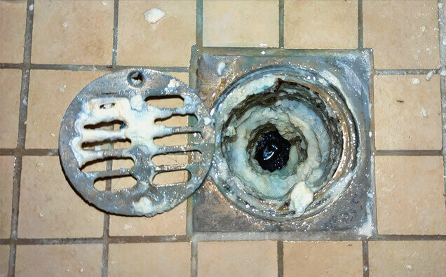 https://blockeddrainsvictoriapark.com.au/uploads/2025/07/blocked-shower-drains-33151.jpg