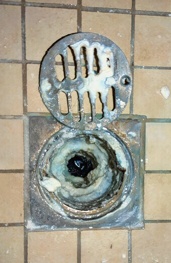https://blockeddrainsvictoriapark.com.au/uploads/2025/07/blocked-shower-drains-86331.jpg