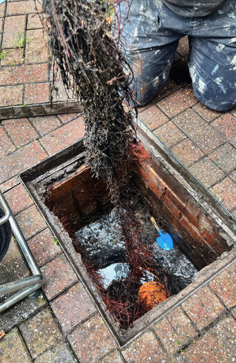 https://blockeddrainsvictoriapark.com.au/uploads/2025/07/hero-blocked-sewers-68349.jpg